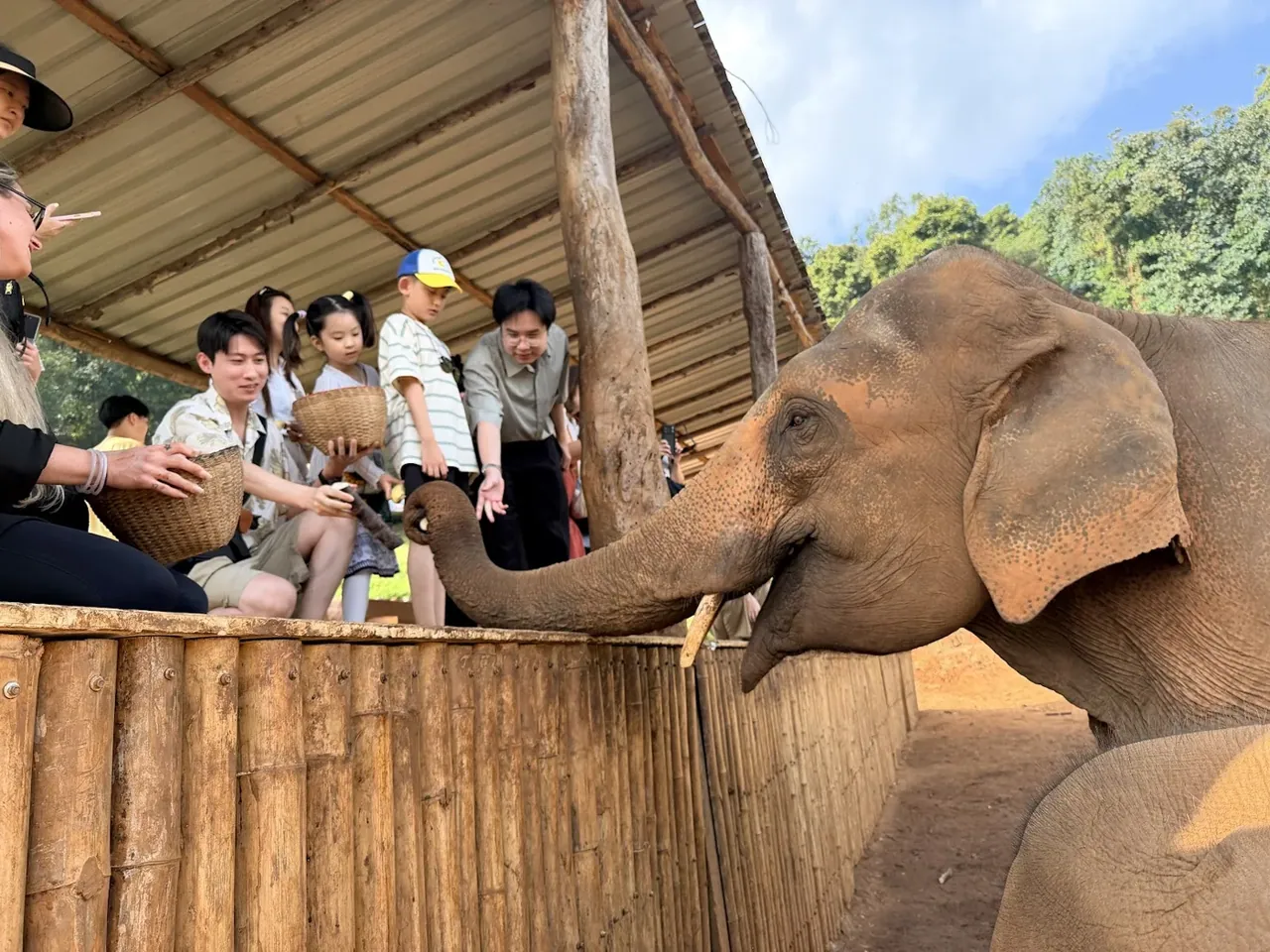 Chiang Mai Family Experience 6박 7일